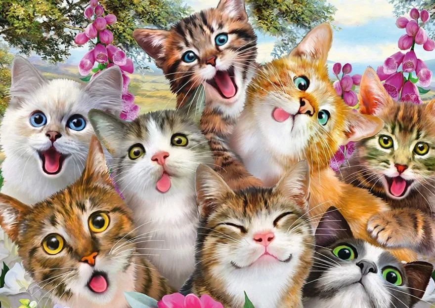 Katzen-Selfie 500 Teile Puzzle