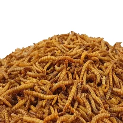 10 kg Mehlwürmer getrocknet - Koifutter, Fische, Nager, Vögel, Reptilien, Koi
