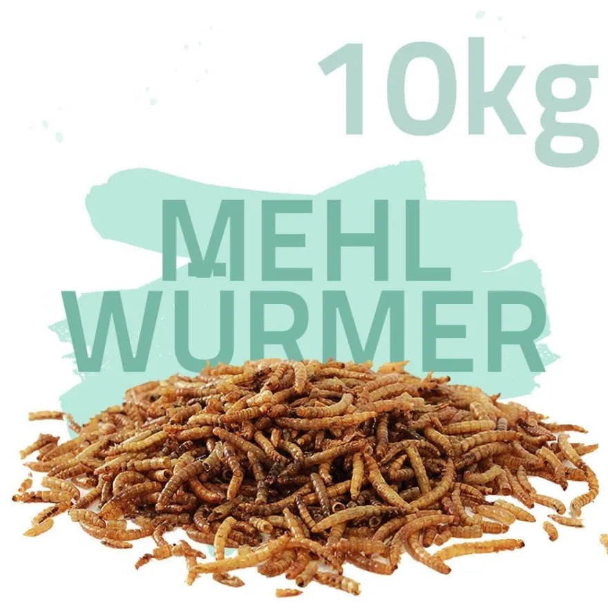10 kg Mehlwürmer getrocknet - Koifutter, Fische, Nager, Vögel, Reptilien, Koi