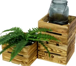 Kleine Holzkiste