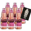 Klindworth Winterlust 6x Glühwein aus Rosewein -Glühwein Rosi 1L (9,8% Vol) ink