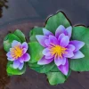 künstliche 2er Seerose Lila / weiß - 15x10cm Pflanze Gartenteich Teichpflanze