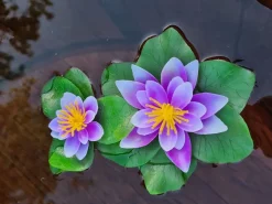 künstliche 2er Seerose Lila / weiß - 15x10cm Pflanze Gartenteich Teichpflanze