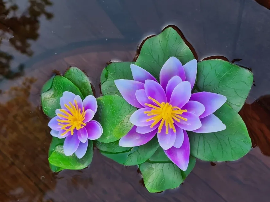 künstliche 2er Seerose Lila / weiß - 15x10cm Pflanze Gartenteich Teichpflanze