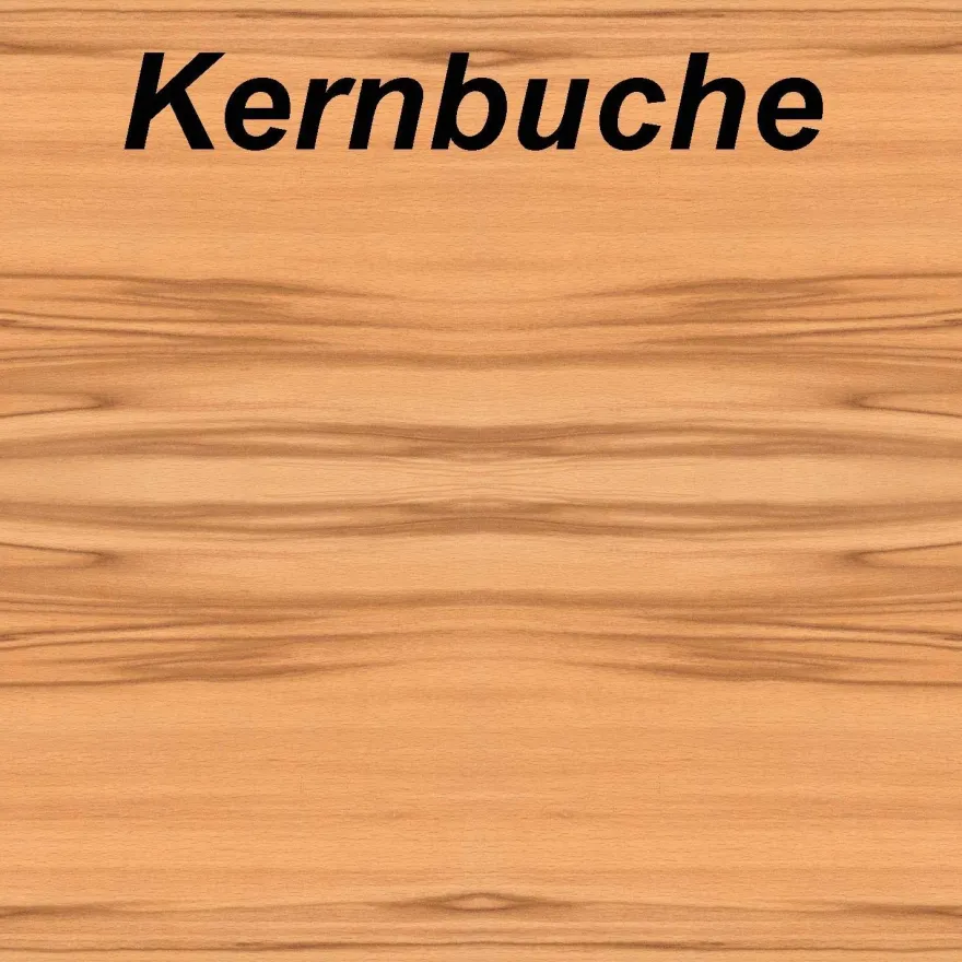 KOEL-A Couchtisch 110x69x41cm Parsolglas Ablage HPL-Kernbuche