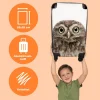 Koffer - Handgepäck - Eule - Küken - Kinder - Vogel - Trolley - Rollkoffer - Kleine