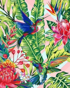 Kolibri