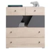 Kommode DELTA DL11 Schubladenschrank mit 1 Tür 4 Schubladen Schrank