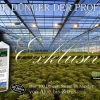 Koniferen Dünger Tannen, Fichten, Kiefern düngen, XL Profi Linie 1 Ltr., Premium