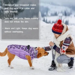Kuoser Hundemantel Winter für kleine Hunde - Wasserdicht, Winddicht, Warm mit