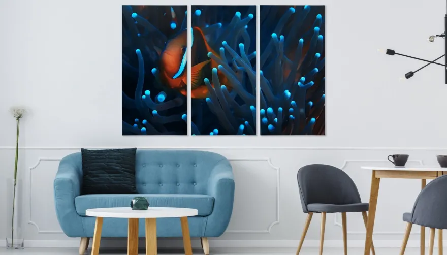 Leinwand Bilder SET 3-Teilig Fisch Clownfisch Anemone Natur Wandbilder xxl 3763