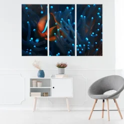 Leinwand Bilder SET 3-Teilig Fisch Clownfisch Anemone Natur Wandbilder xxl 3763