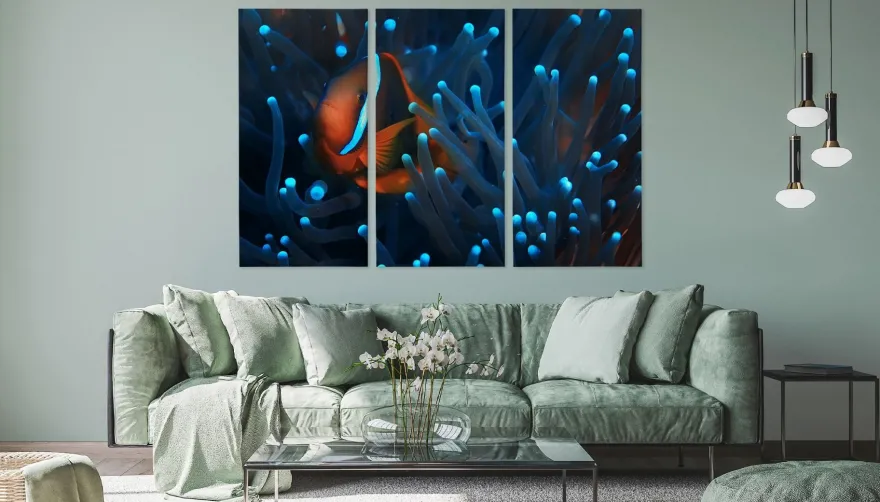 Leinwand Bilder SET 3-Teilig Fisch Clownfisch Anemone Natur Wandbilder xxl 3763