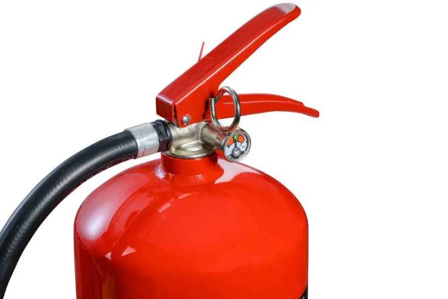 6 Liter AF Fettbrand Wassernebel Feuerlöscher 4 LE f. Fettbrände u. Gastronomie