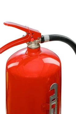 6 Liter AF Fettbrand Wassernebel Feuerlöscher 4 LE f. Fettbrände u. Gastronomie