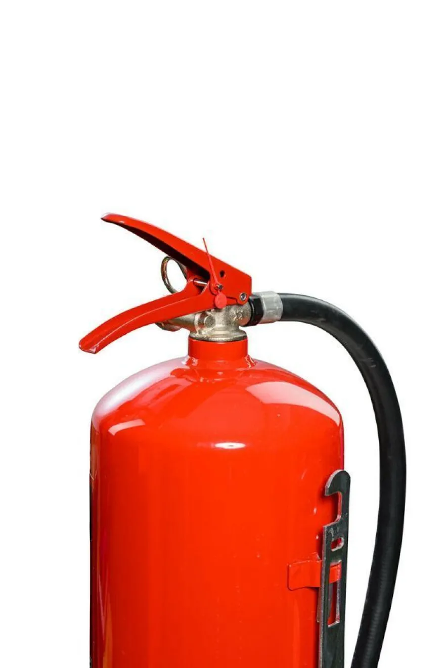 6 Liter AF Fettbrand Wassernebel Feuerlöscher 4 LE f. Fettbrände u. Gastronomie