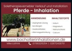 10 Liter 0,9 % TotesMeer Salz Sole Soletherapie Salzkammer ink. Expressversand