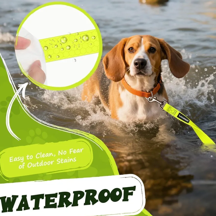 Looxmeer Wasserdichte Biothane Schleppleine für Hunde, 3-30m, Reißfest, mit