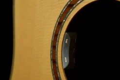 LR Baggs HiFi Duet Hybrid Tonabnehmer