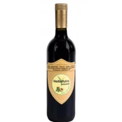 750ml Herbafulvo Kräuter Essenz Papaya Immunstimulierendes Tonikum Vitaldrink
