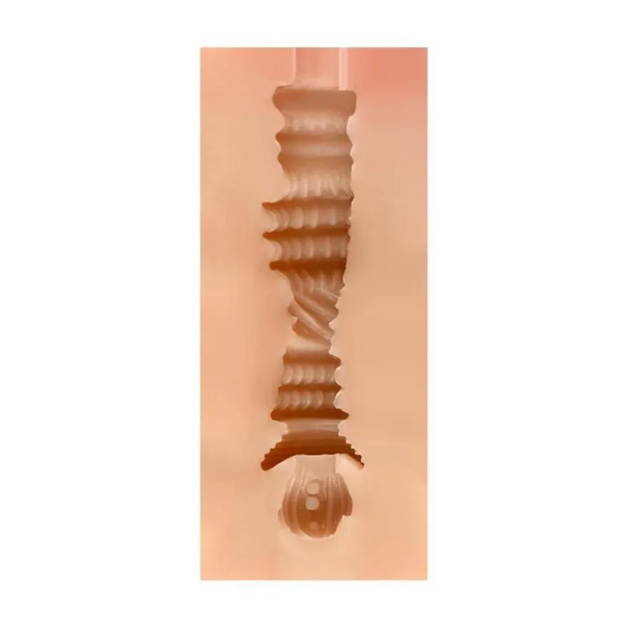 Männlicher Masturbator Vagina Pamela Haut