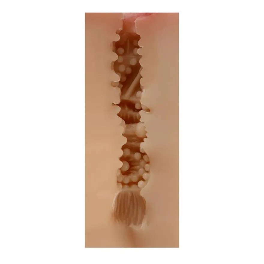 Männlicher Masturbator Vagina Maud Haut