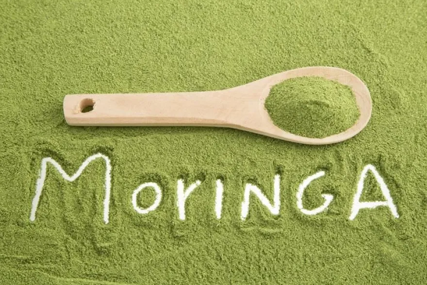 Moringa Blattpulver 2x 1 kg