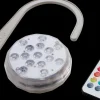 MSPA Pool Beleuchtung LED Licht Unterwasserlicht + Halterung MSPA Whirlpools RGB
