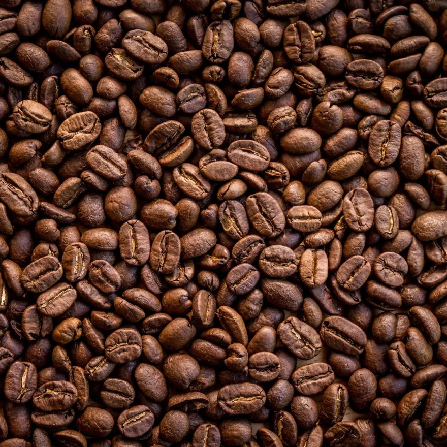 Muralo Selbstklebende Fototapeten XXL Röstfrische Kaffeebohnen 3D 3129