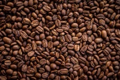 Muralo Selbstklebende Fototapeten XXL Röstfrische Kaffeebohnen 3D 3129