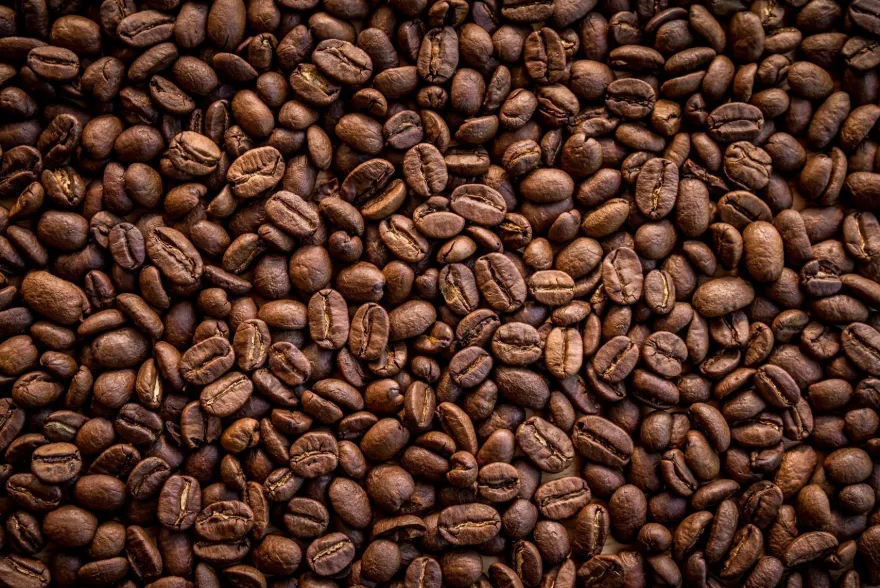 Muralo Selbstklebende Fototapeten XXL Röstfrische Kaffeebohnen 3D 3129