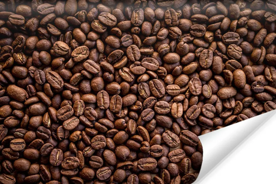 Muralo Selbstklebende Fototapeten XXL Röstfrische Kaffeebohnen 3D 3129