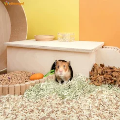 Niteangel Birkenkammer-Labyrinth-Hamsterversteck, 2 Kammern, groß