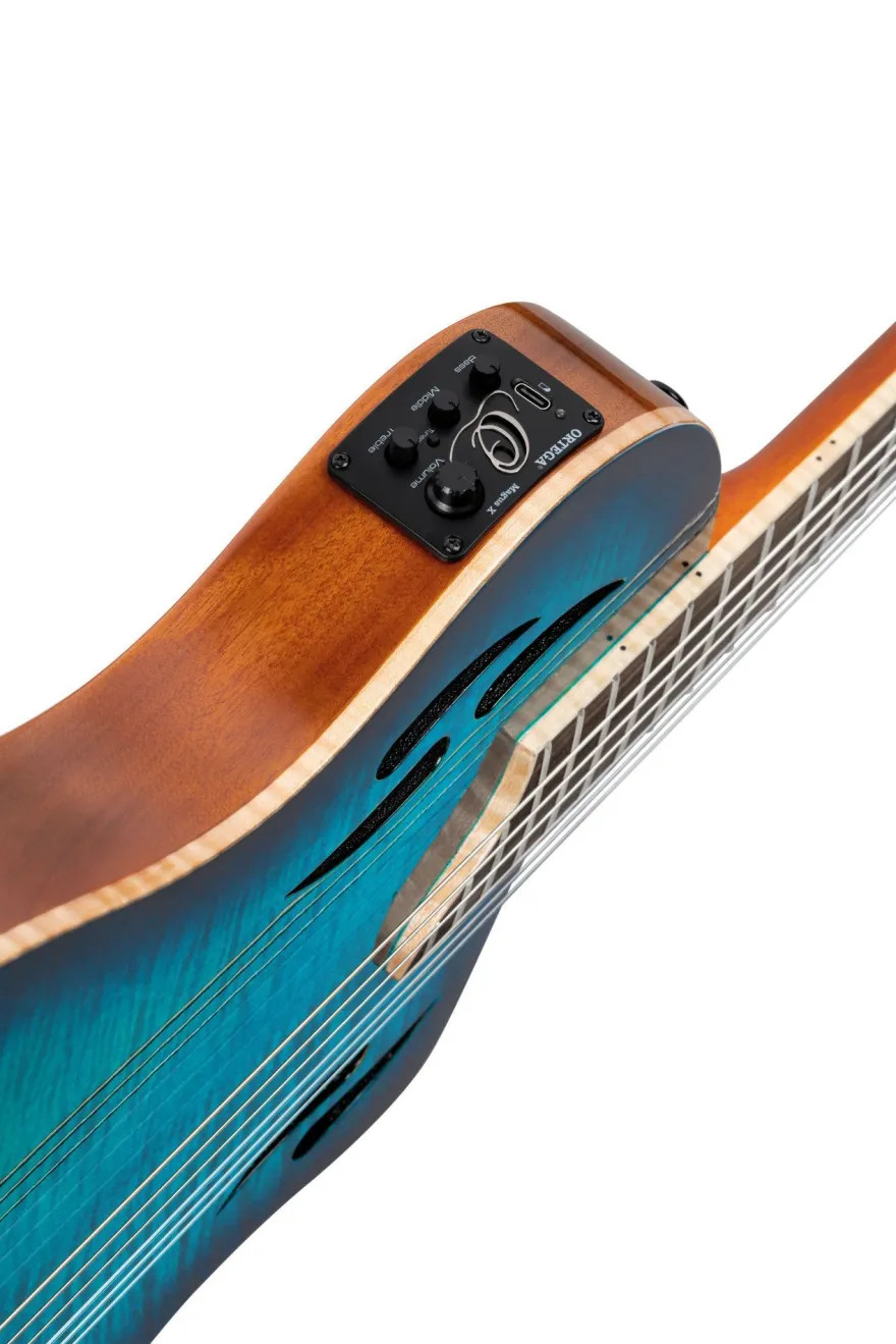 Ortega RTPDLX-FMA TourPlayer Dlx