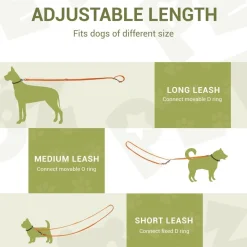 Petcooz Verstellbare Hundeleine 3m, Doppelleine aus Nylon für Hunde bis 30kg