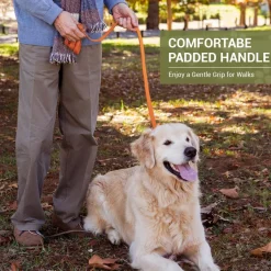 Petcooz Verstellbare Hundeleine 3m, Doppelleine aus Nylon für Hunde bis 30kg