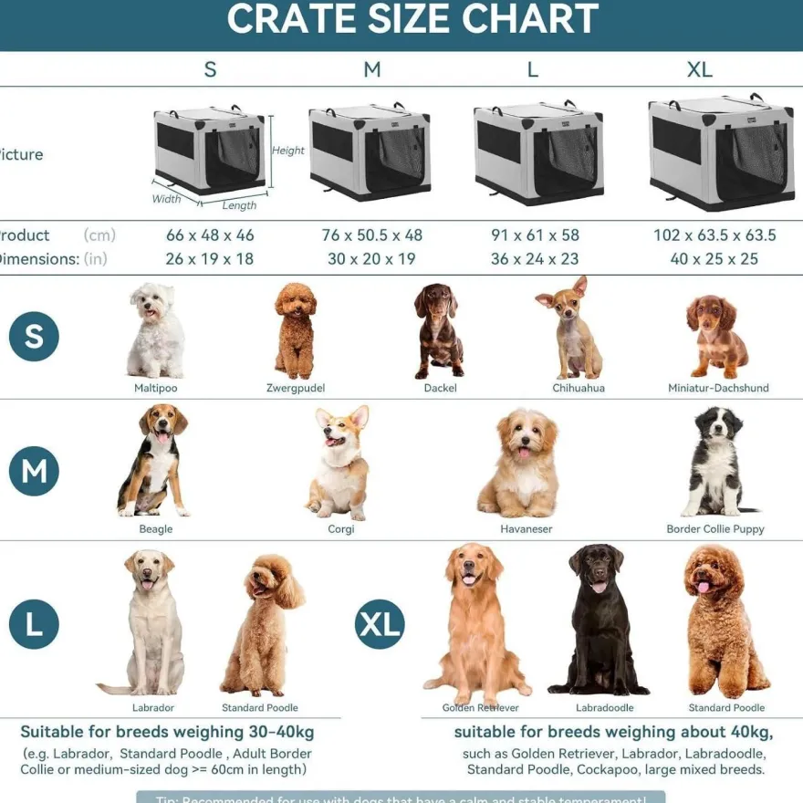 Petsfit Faltbare Hundebox für Zuhause und Auto, Stoffbezug, 91x61x59 cm, Grau