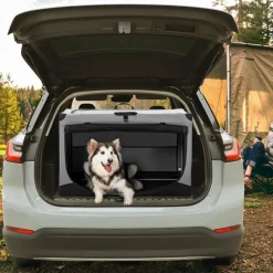 Petsfit Faltbare Hundebox für Zuhause und Auto, Stoffbezug, 91x61x59 cm, Grau