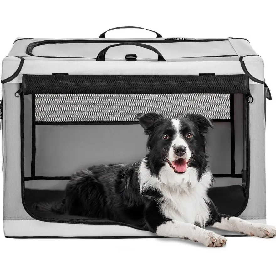 Petsfit Faltbare Hundebox für Zuhause & Auto, Transportbox für mittlere bis