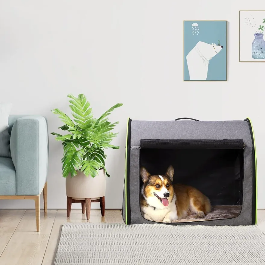 Petsfit Faltbare Hundebox für mittelgroße Hunde, Transportbox mit Plüschkissen