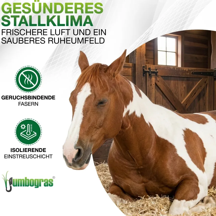 Pferdeeinstreu-Jumbogras®-Häcksel aus Elefantengras|Chinagras, Kartonaufsteller 1,5m³