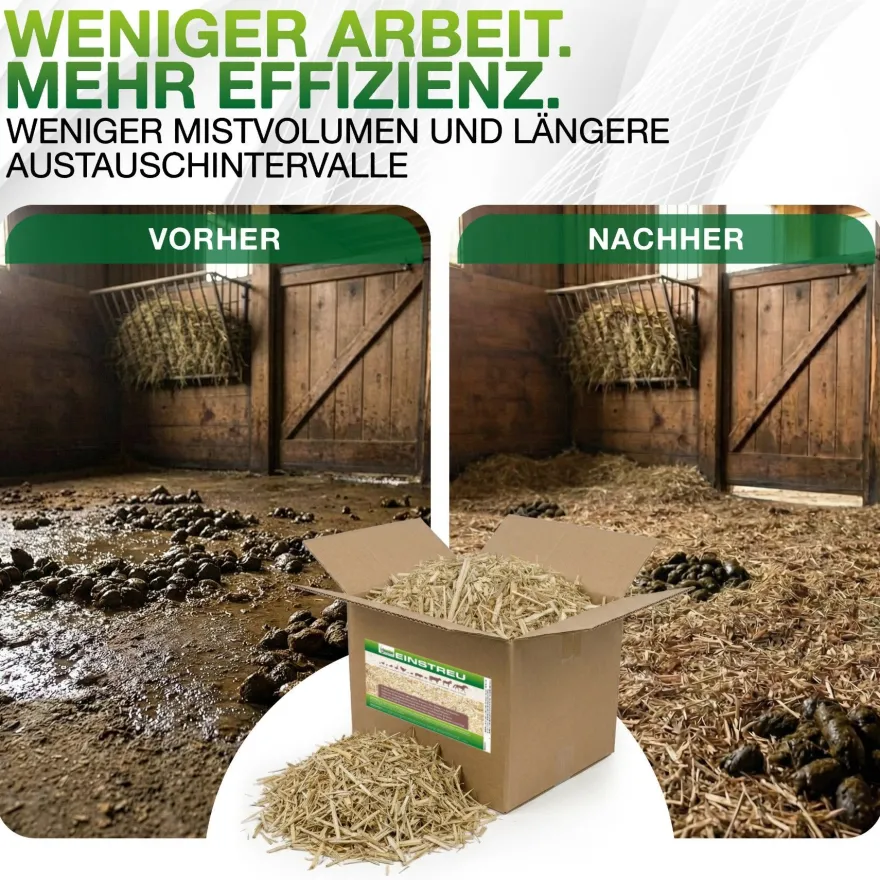 Pferdeeinstreu-Jumbogras®-Häcksel aus Elefantengras|Chinagras, Kartonaufsteller 1,5m³