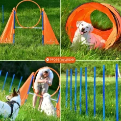 PFOTENWUNDER® XXL-Profi-Agility Set Hunde Groß + 3 Meter-Tunnel + 21 Min. Hundeschule