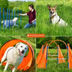 PFOTENWUNDER® XXL-Profi-Agility Set Hunde Groß + 3 Meter-Tunnel + 21 Min. Hundeschule