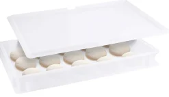 7 Pizzateigbehälter Transportkiste Lagerbox Teigbehälter 60x40 cm C65 NEU