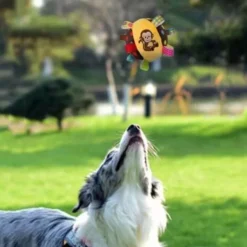 Plüschtiere Bissresistenter Plüsch griff Hunde spielzeug