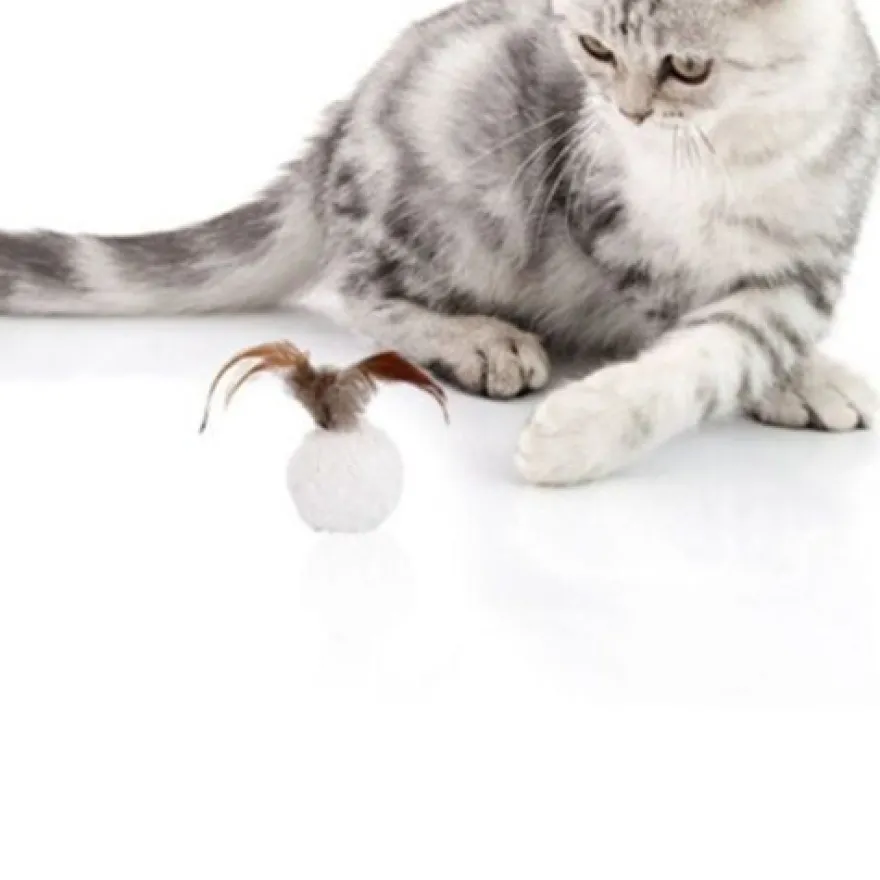 Plüschtiere Katzenminze Pluschballform mit Feder Plüsch spielzeug