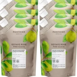 Ponthier Guave Fruchtpüree 6x 1kg Premium Guavenpüree 90 % Frucht aus Madagaskar