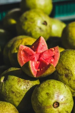Ponthier Guave Fruchtpüree 6x 1kg Premium Guavenpüree 90 % Frucht aus Madagaskar
