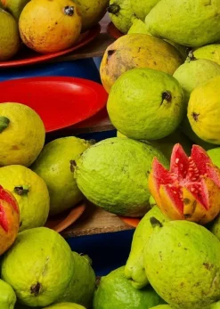 Ponthier Guave Fruchtpüree 6x 1kg Premium Guavenpüree 90 % Frucht aus Madagaskar